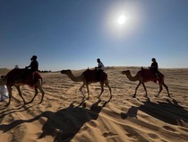 Naik Unta dan Dune Bashing, Ini Rasanya Safari di Padang Pasir Abu Dhabi