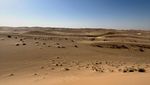 Potret Safari di Abu Dhabi: Naik Unta & Kebut-kebutan Mobil Offroad