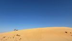 Potret Safari di Abu Dhabi: Naik Unta & Kebut-kebutan Mobil Offroad