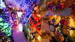 Potret Hiasan 605 Pohon Natal di Jerman Pecahkan Rekor Dunia