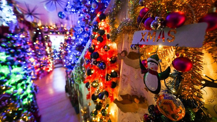 Susanne and Thomas Jeromin, the official world record holders with their 605 decorated Christmas trees in one home, pose for a photo in their house in Rinteln, west of Hanover, Germany, December 3, 2024. REUTERS/Jana Rodenbusch