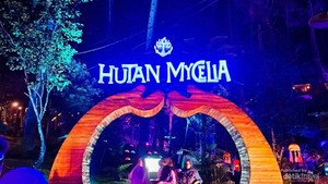 Wisata Malam di Bandung: Hutan Mycelia Cikole