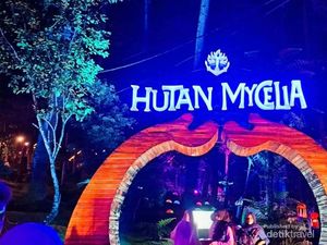 Wisata Malam di Bandung: Hutan Mycelia Cikole