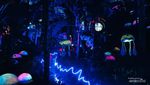 Wisata Malam di Bandung: Hutan Mycelia Cikole