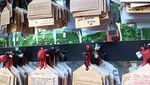 Keliling Dunia dalam Sehari di The Great Asia Africa Bandung