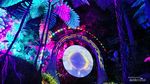 Wisata Malam di Bandung: Hutan Mycelia Cikole