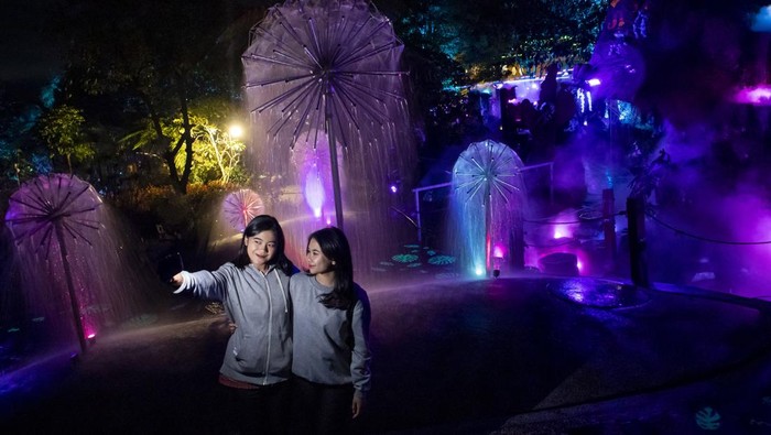 Pengunjung berfoto di kawasan Mystical Forest Dusun Bambu, Cisarua, Kabupaten Bandung Barat, Jawa Barat, Jumat (13/12/2024). Dusun Bambu berkolaborasi dengan We.Outbound dan Sembilan Matahari menghadirkan wahana malam interaktif yang menggabungkan keindahan alam, teknologi serta seni dengan tema pelestarian air dan kejaiban alam untuk menarik wisatawan khususnya pada masa liburan Natal 2024 dan Tahun Baru 2025. ANTARA FOTO/Abdan Syakura/agr/foc.