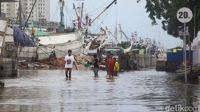 Banjir Rob Genangi Akses ke Pelabuhan Sunda Kelapa