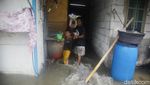 Banjir Rob di Pelabuhan Sunda Kelapa Sempat Masuk ke Rumah Warga