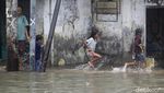 Banjir Rob di Pelabuhan Sunda Kelapa Sempat Masuk ke Rumah Warga