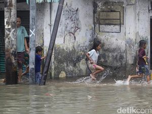Banjir Rob Masih Rendam 2 RT dan 1 Jalan di Jakut Sore Ini