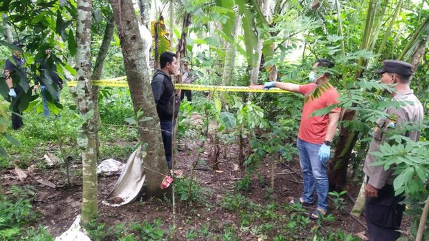 Bayi Baru Lahir Dibuang di Pekarangan Warga Trenggalek