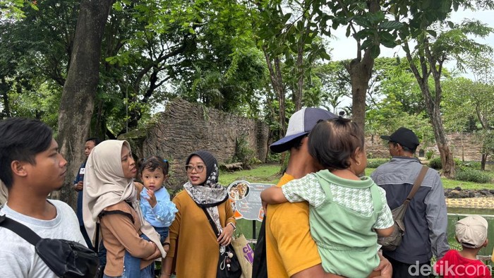 KBS Kenalkan Singa Putih Zeus dan Kiara Sambut Libur Nataru KBS Kenalkan Singa Putih Zeus dan Kiara Sambut Libur Nataru
