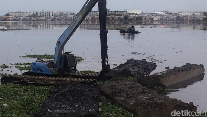Petugas Dinas Lingkungan Hidup DKI Jakarta mengoperasikan eskavator untuk mengeruk lumpur dan eceng gondok di Waduk Pluit, Jakarta, Minggu (15/11/2024).Pengerukan untuk mencegah pendangkalan waduk seluas 80 hektar tersebut sekaligus sebagai upaya mencegah banjir di kawasan sekitar waduk.