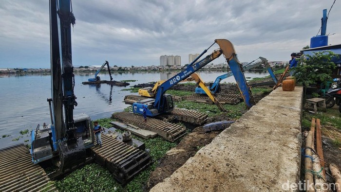 Petugas Dinas Lingkungan Hidup DKI Jakarta mengoperasikan eskavator untuk mengeruk lumpur dan eceng gondok di Waduk Pluit, Jakarta, Minggu (15/11/2024).Pengerukan untuk mencegah pendangkalan waduk seluas 80 hektar tersebut sekaligus sebagai upaya mencegah banjir di kawasan sekitar waduk.