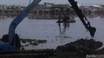 Lumpur dan Enceng Gondok Masih Ancam Waduk Pluit