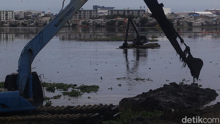 Petugas Dinas Lingkungan Hidup DKI Jakarta mengoperasikan eskavator untuk mengeruk lumpur dan eceng gondok di Waduk Pluit, Jakarta, Minggu (15/11/2024).Pengerukan untuk mencegah pendangkalan waduk seluas 80 hektar tersebut sekaligus sebagai upaya mencegah banjir di kawasan sekitar waduk.