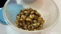 Dalam sehari, mereka bisa menghabiskan 10 kg bawang putih! Aroma dan rasa bawang putih utuh ini tidak terlalu kuat. Bagian dalam bawangnya sangat lembut dan luarnya renyah karena dibaluri tepung. Foto: Detikcom / Atiqa Rana