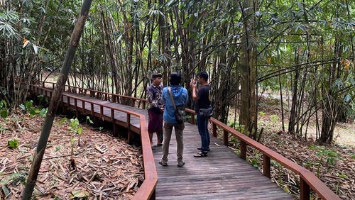 Jembatan kayu di dalam kawasan hutan bambu Desa Penglipuran, Bangli, Bali yang baru dibuka untuk pelancong, Minggu (15/12/2024). (dok. pribadi Samiarsa)