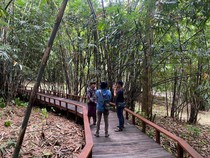 Keliling Hutan Bambu Penglipuran, Kini Makin Asyik dengan Jembatan Kayu