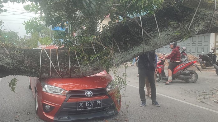 Pohon tumbang timpa 4 mobil di Jalan Abdullah Lubis, Medan