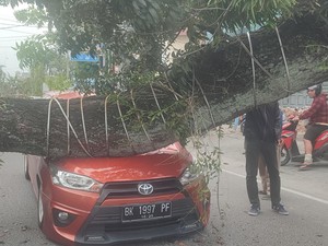 Pohon Besar Tumbang Timpa 4 Mobil di Jalan Abdullah Lubis Medan