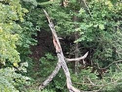 Potret Fenomena Alam Mengerikan yang Ditemui Manusia