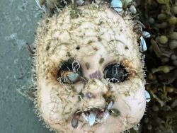 Potret Fenomena Alam Mengerikan yang Ditemui Manusia