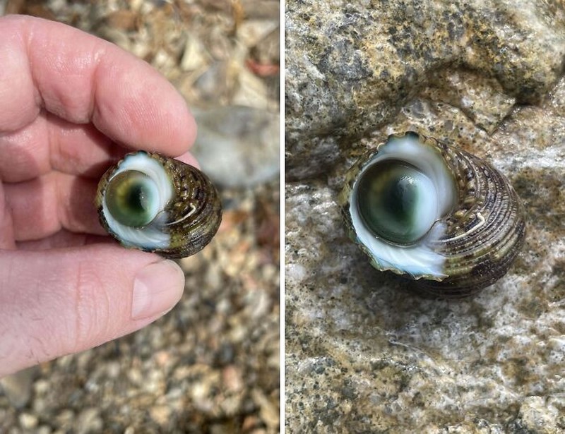 Potret Fenomena Alam Mengerikan yang Ditemui Manusia