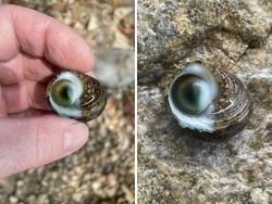 Potret Fenomena Alam Mengerikan yang Ditemui Manusia