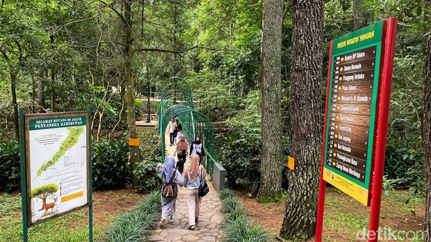 Taman Hutan Raya (Tahura) Bandung 2024.