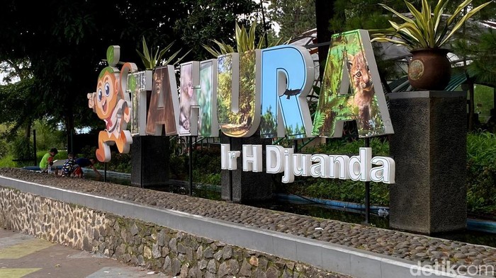 Taman Hutan Raya (Tahura) Bandung 2024.