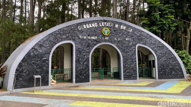 Taman Hutan Raya (Tahura) Bandung 2024.