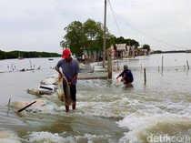 Video: Penampakan Banjir Rob Rendam Puluhan Rumah di Pesisir Utara Karawang