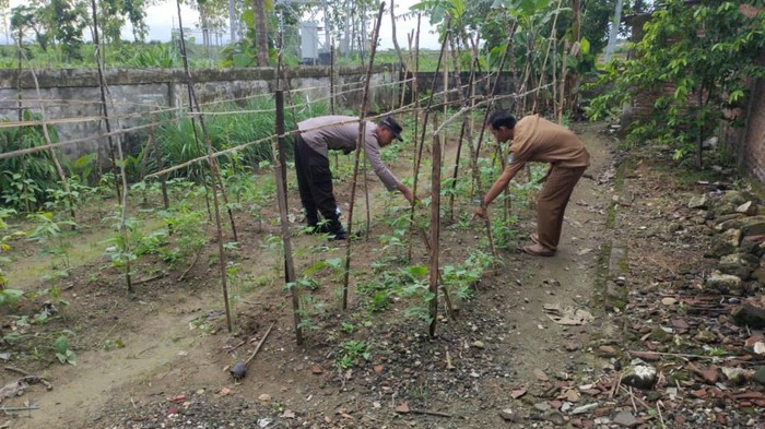 Bhabinkamtibmas Desa Songgowareng Galakkan Penanaman Tanaman Pangan Bergizi
