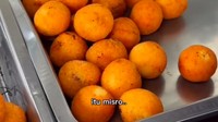 Combro isi cabe rawit juga ditawarkan oleh penjual kaki lima di Pasar Baru, Jakarta Pusat. Selain rawit, isian oncomnya juga padat. Harganya Rp 2.500. Foto: Instagram/Google Review
