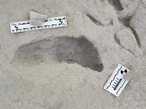 Ada Jejak Kaki Hominin di Dekat Danau, Bukti Manusia Purba Hidup Berdampingan