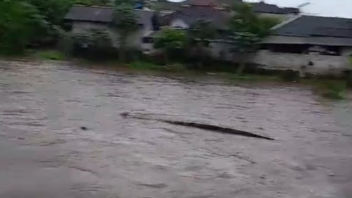 Penampakan punggung gajah tertangkap kamera warga hanyut sampai aliran Sungai Hidden Canyon Desa Guwang, Kecamatan Sukawati, Senin (16/12/2024). (Foto : tangkapan layar).