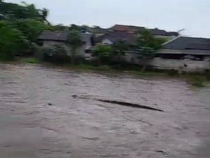 Viral Gajah Bali Zoo Hanyut Terseret Arus Sungai