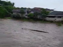Viral Gajah Terseret Arus Sungai di Bali