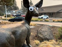 Pemkot di AS Kewalahan, Banyak Landmark yang Ditempeli Mata Mainan