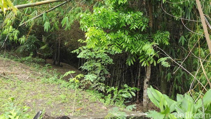 Lokasi sungai belakang rumah tempat hilangnya Harno.