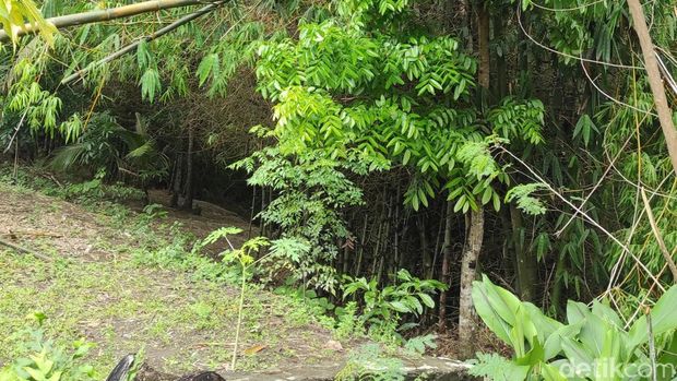Lokasi sungai belakang rumah tempat hilangnya Harno.
