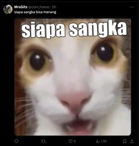 Meme Kemenangan MU