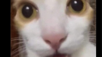 Siapa sangka Setan Merah menang.... Foto: X.com