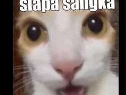 Meme Melihat Kebangkitan King Emyu