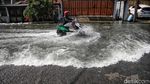 Potret Kawasan Penjaringan Masih Terendam Banjir Rob