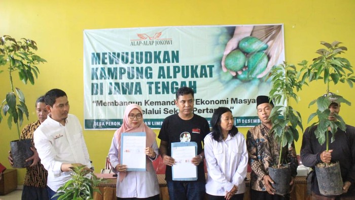 Relawan Alap-alap Jokowi Gagas Kampung Alpukat di Jateng