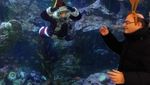 Aksi Sinterklas Berenang dengan Ikan-ikan Sambut Natal di Seattle