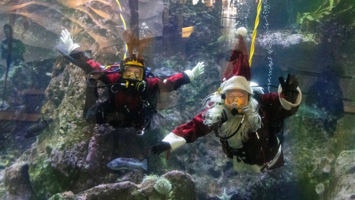Sinterklas Berenang dengan Ikan-ikan Sambut Natal di Seattle Penyelam berkostum Sinterklas menyambut Natal di Akuarium Seattle. Aksinya yang unik menarik perhatian pengunjung dari anak-anak hingga orang dewasa.